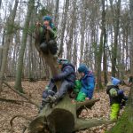 Kinder klettern an einem im Wald liegenden Baumstamm hoch