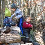 Drei Kinder spielen mitten im Wald zwischen Holzstoß und Wurzelstock
