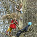 Drei Kinder liegen gemütlich auf den Ästen eines Baumes
